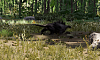 Click image for larger version

Name:	Hunter Lizard.png
Views:	1438
Size:	80.4 KB
ID:	763