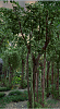 Click image for larger version

Name:	Karuva 2.PNG
Views:	5040
Size:	464.0 KB
ID:	773